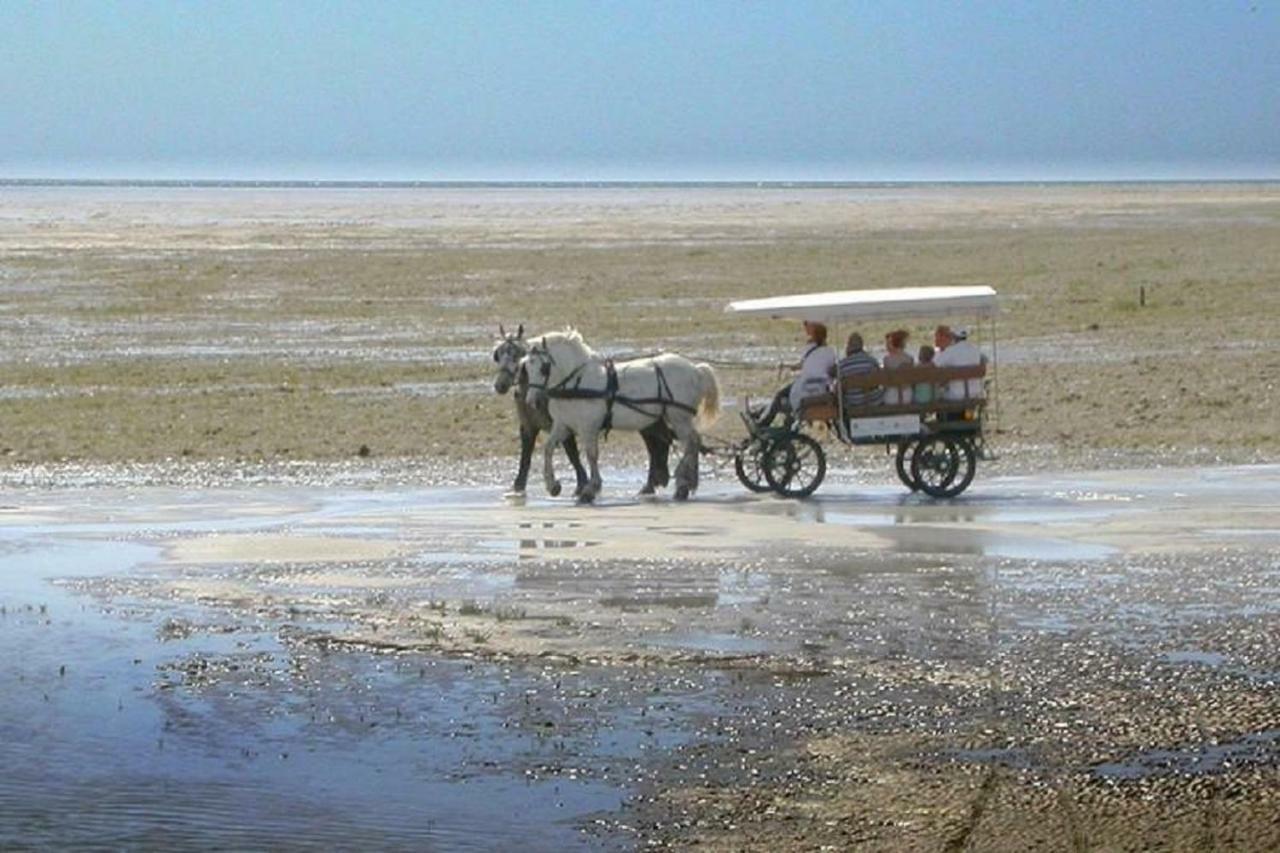 شقة L'Entre 2 Cotes Le Tréport المظهر الخارجي الصورة